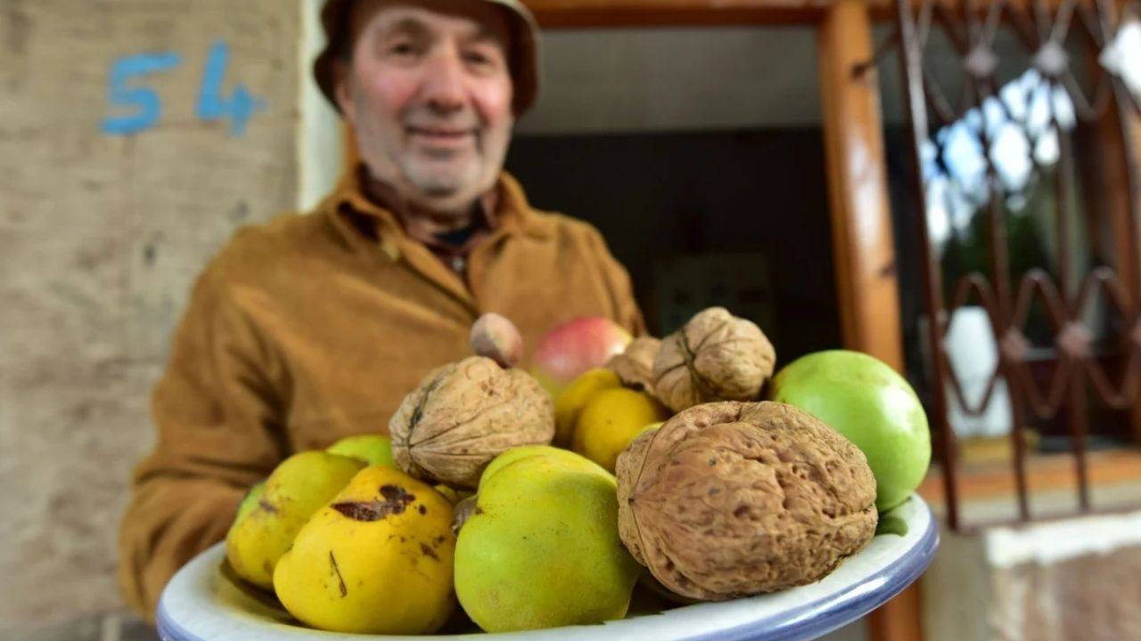 Bitlis'te elma büyüklüğünde ceviz! 'Cevizden çok hatıra özelliği var' - Sayfa 1