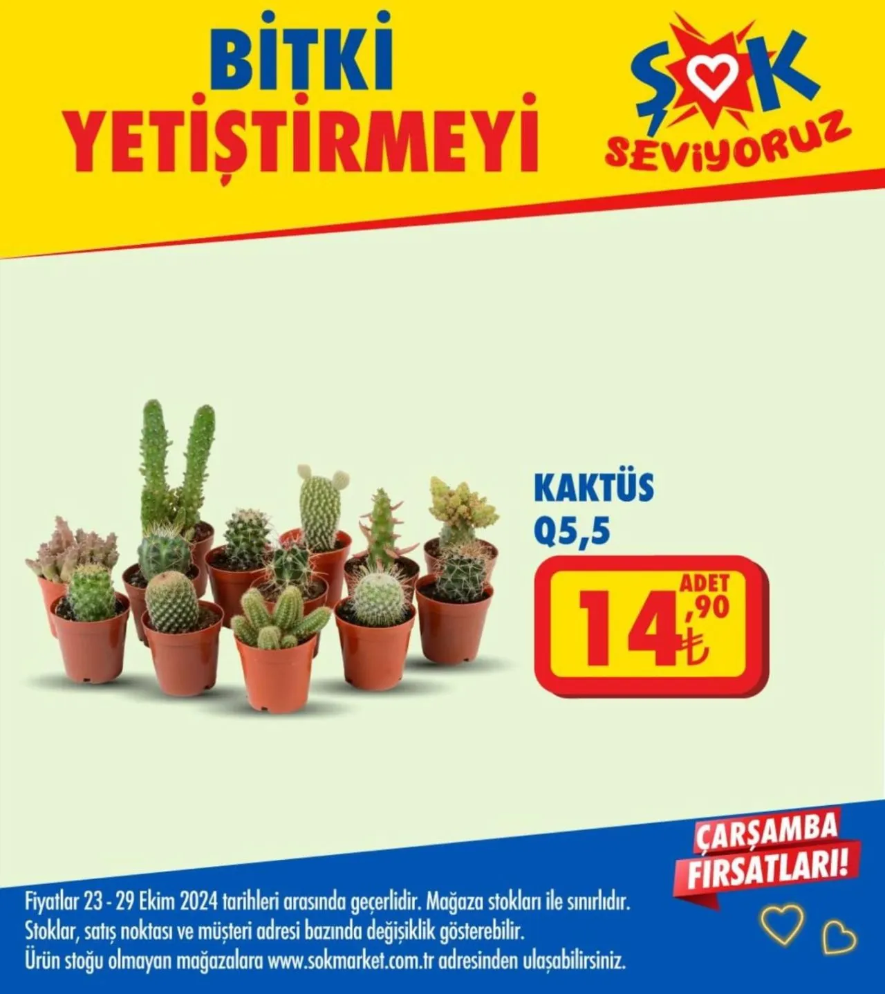 ŞOK Market 23-29 Ekim 2024 Aktüel Ürünler Kataloğu! - Sayfa 36