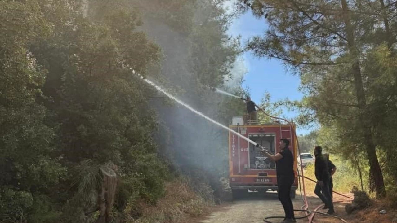 Antakya’da orman yangını kısa sürede söndürüldü