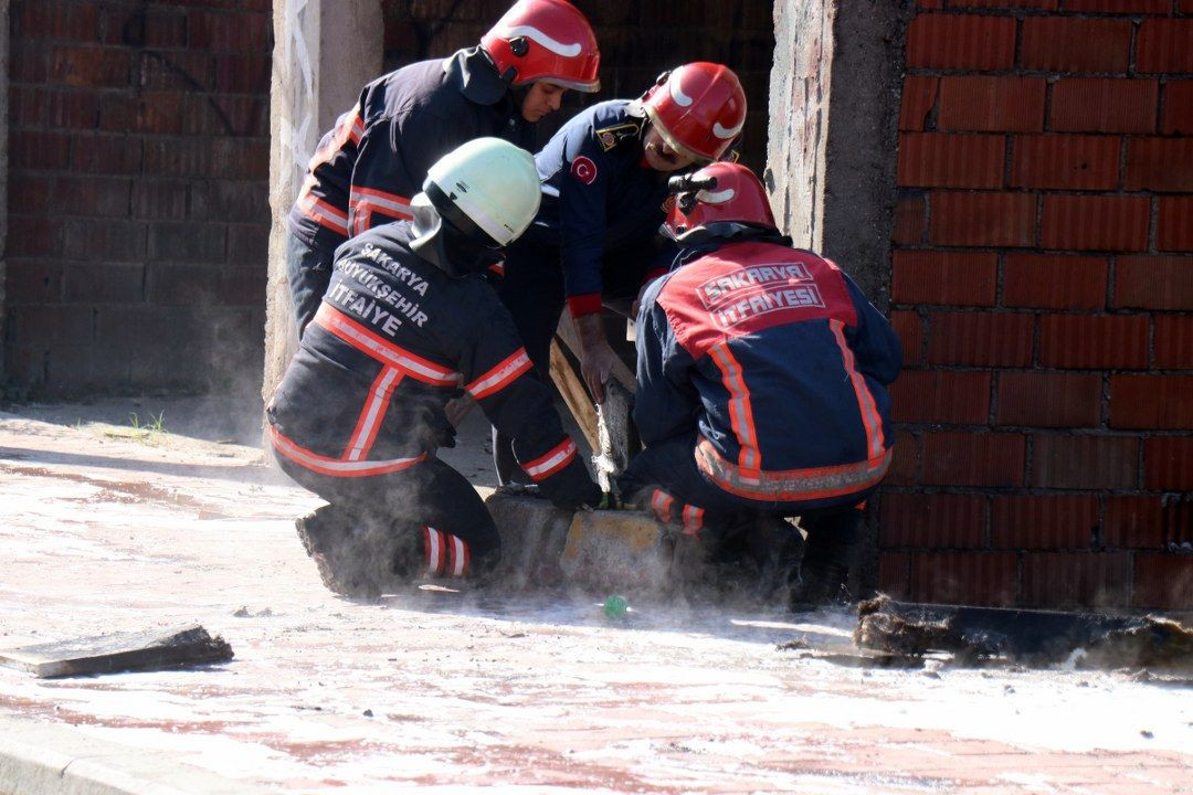 Sakarya' da  çıkan yangın doğalgaz borusunu patlattı - Sayfa 2