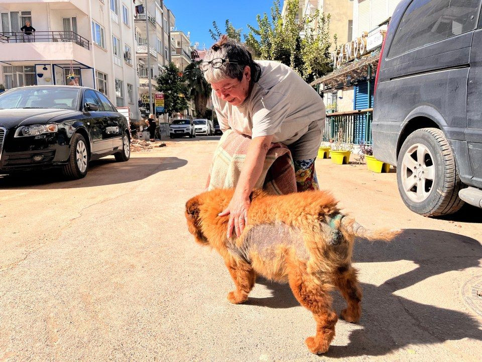 Görme ve işitme engelli 'Çarşaf' adlı köpek inşaat sahasına düştü, battaniyeye sarılarak kurtarıldı - Sayfa 4