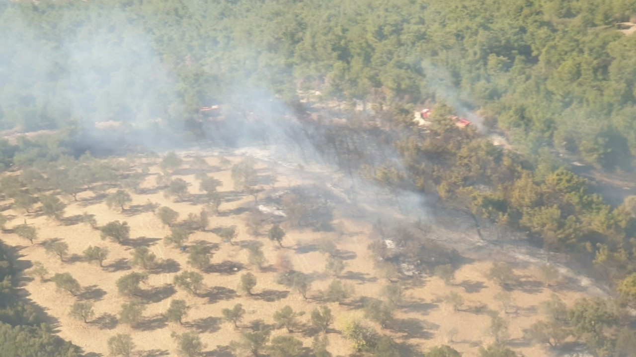 İzmir'de arazide çıkan yangın ormana sıçradı; havadan müdahale de başladı