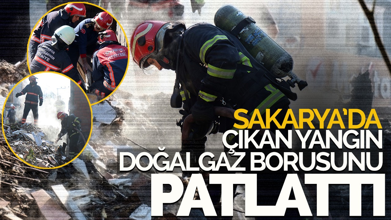 Sakarya' da  çıkan yangın doğalgaz borusunu patlattı