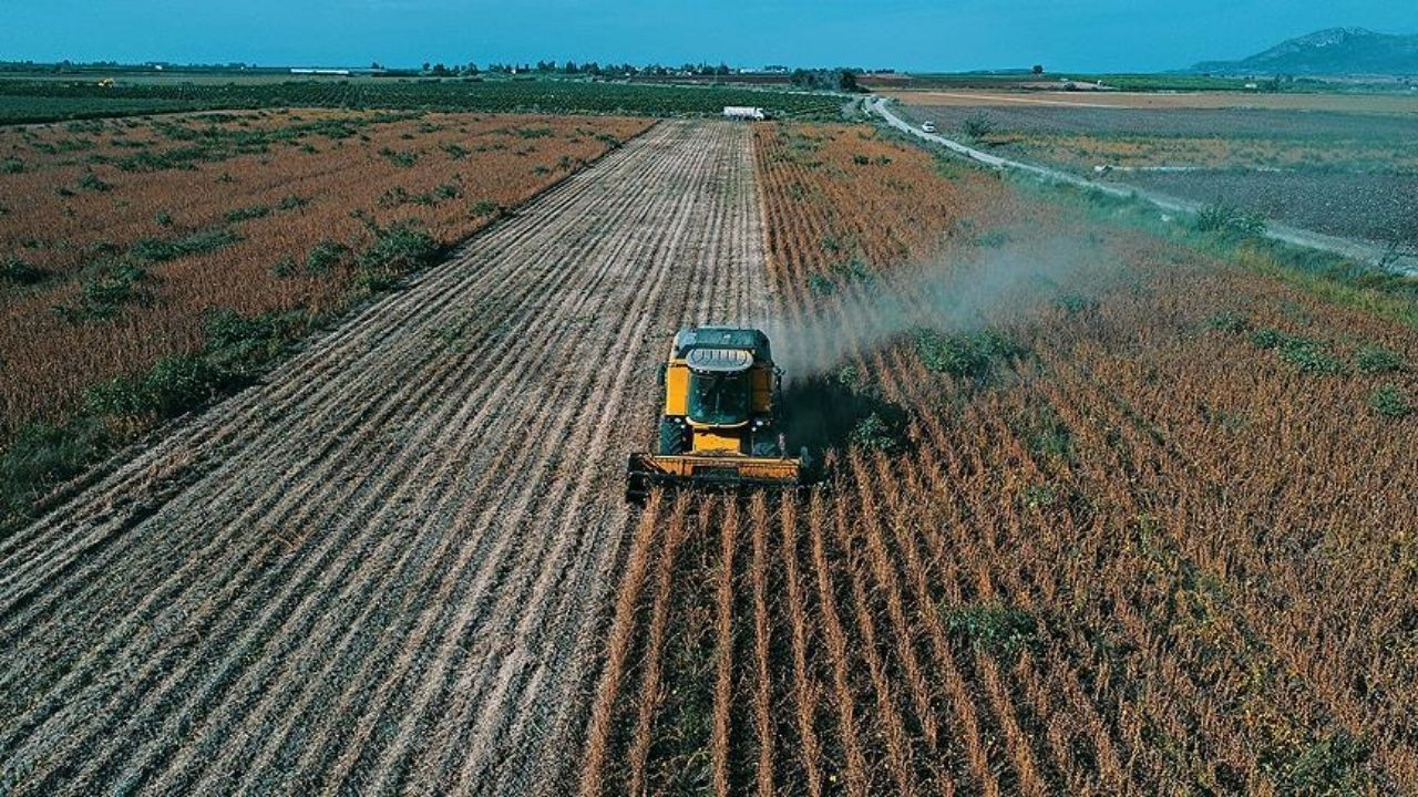 Çiftçiler müjde! 149 milyon 839 bin lira destek ödemesi bugün - Sayfa 5