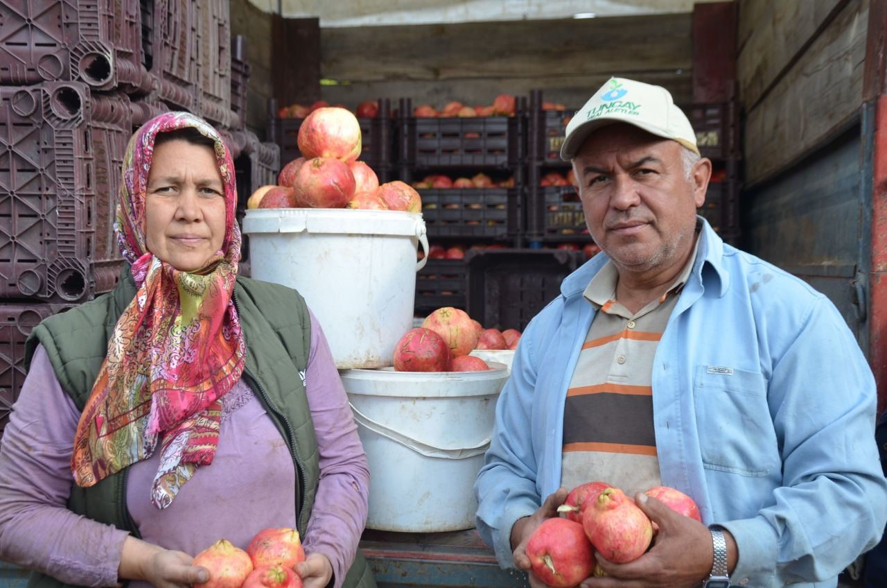 İnhisar'ın 'Deve Dişi' Narı Bu Yıl Rekor Verimle Geliyor! - Sayfa 7