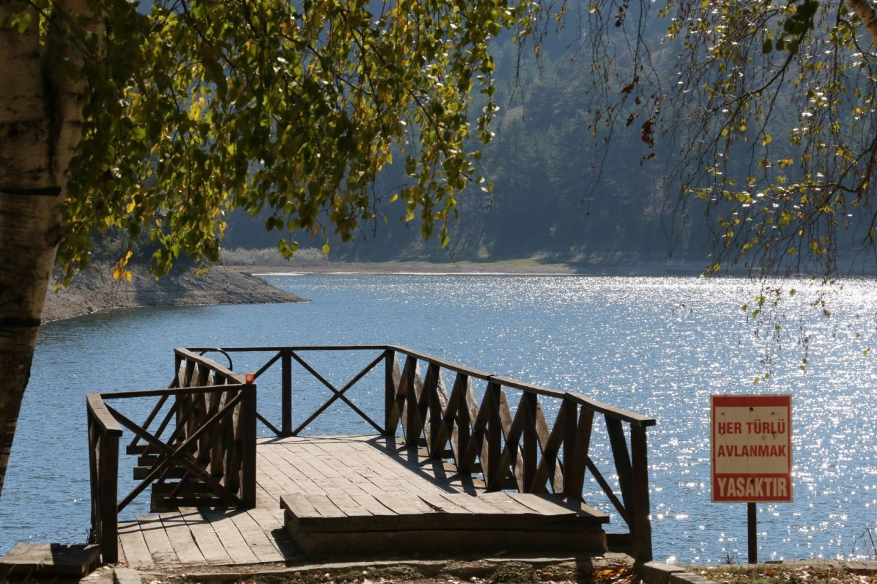 Bolu'daki en büyük orman yangınında tarihi rol oynamıştı: Kuraklık orayı da vurdu - Sayfa 7