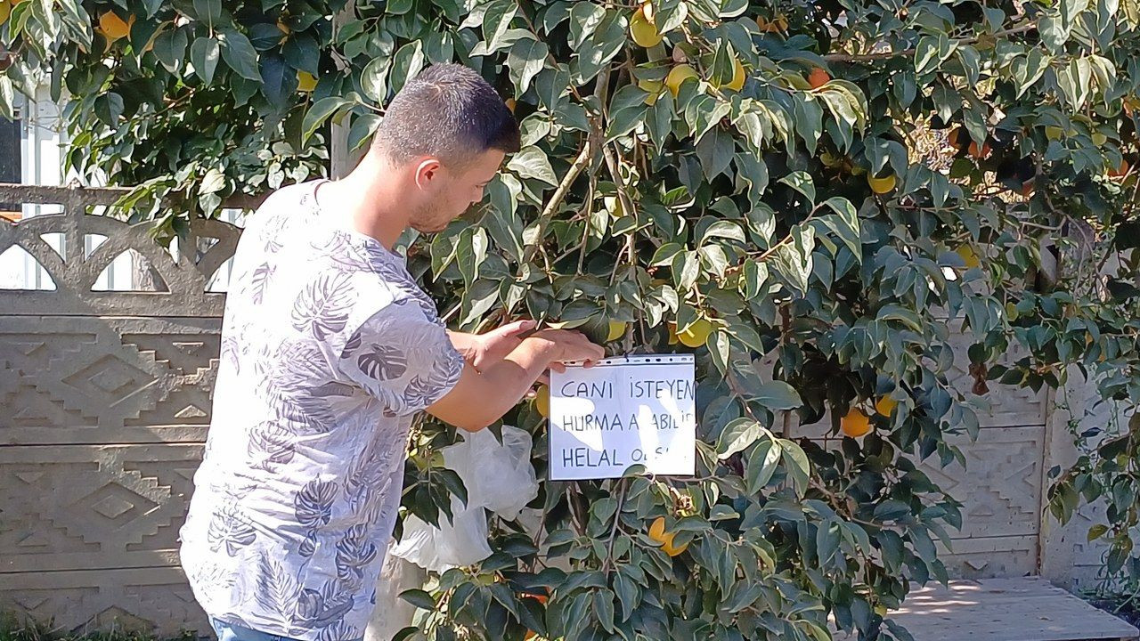 'Canı isteyen alabilir' yazdığı ağaca poşette astı - Sayfa 3