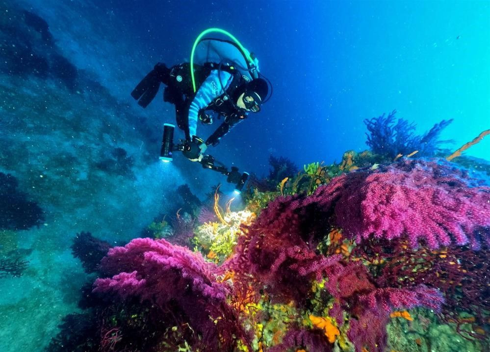 Milli Sporcu Şahika Ercümen, Ayvalık'ta dalış yaparak kırmızı mercanları tanıtacak - Sayfa 4