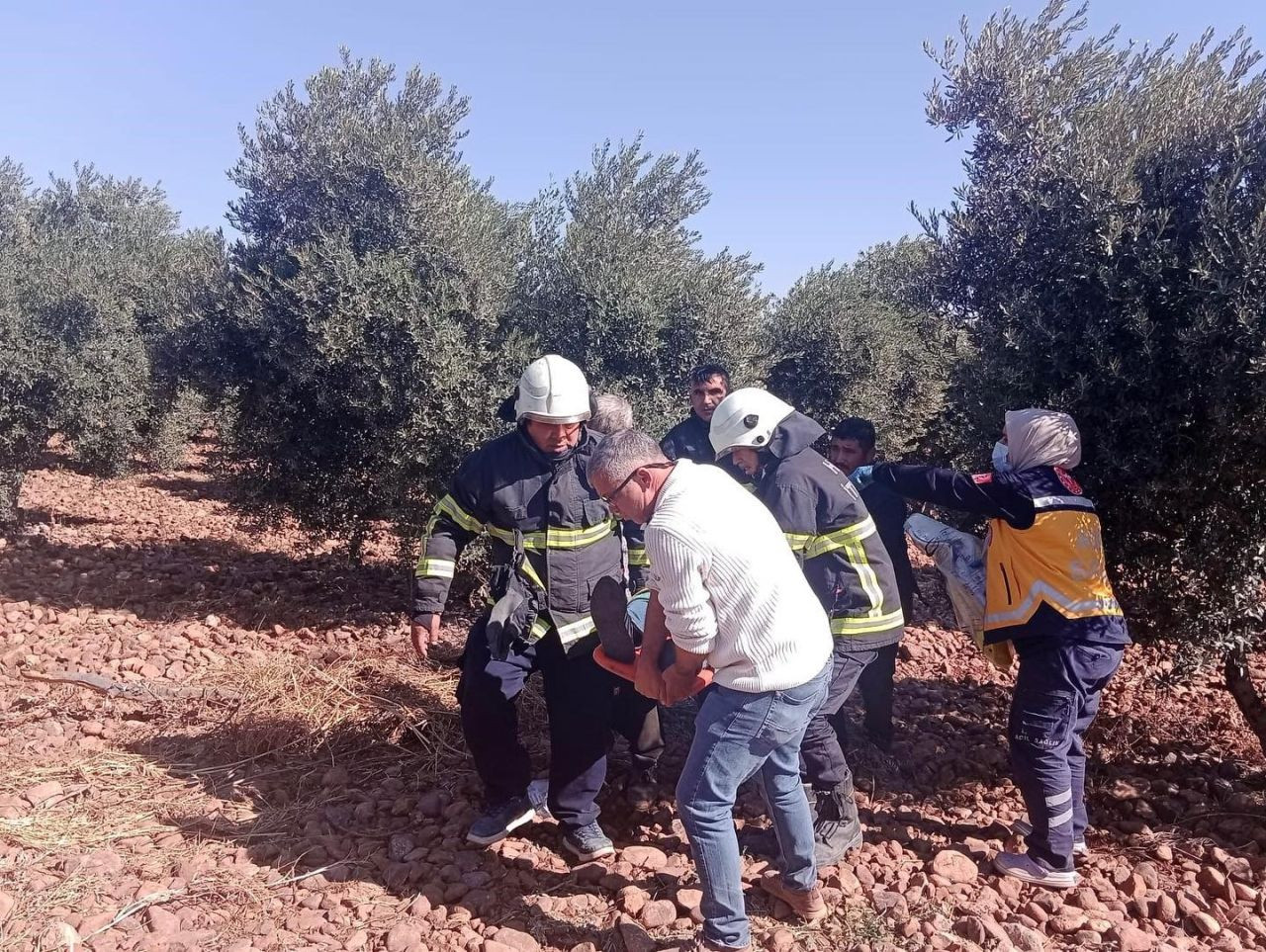 Zeytin bahçesine uçan otomobildeki 5 kişi yaralandı - Sayfa 1