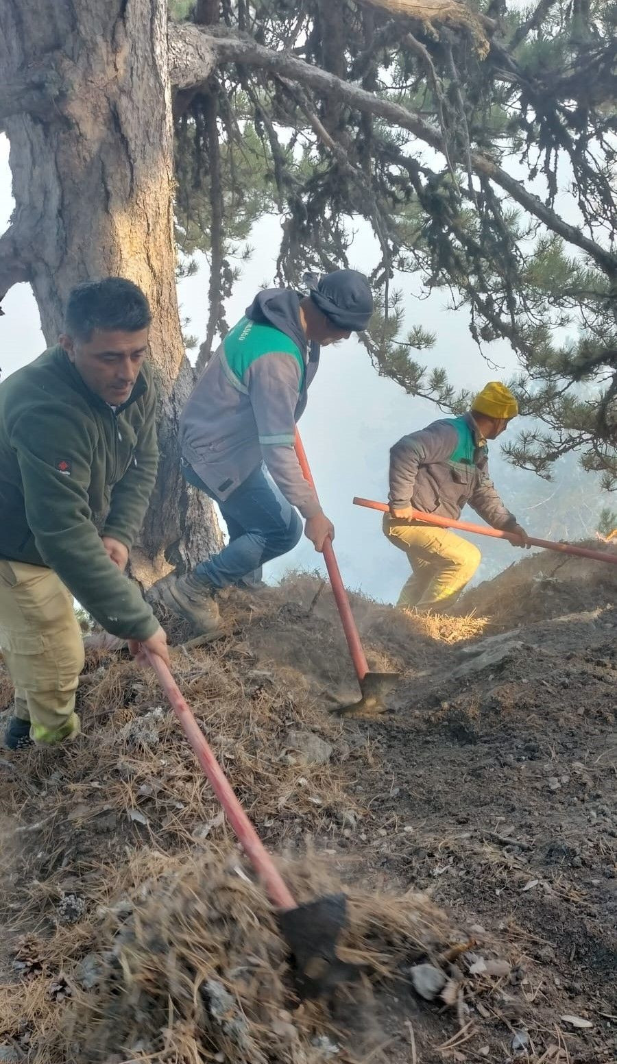 Sarp arazide devam eden orman yangınında alevlerle mücadele sürüyor - Sayfa 1