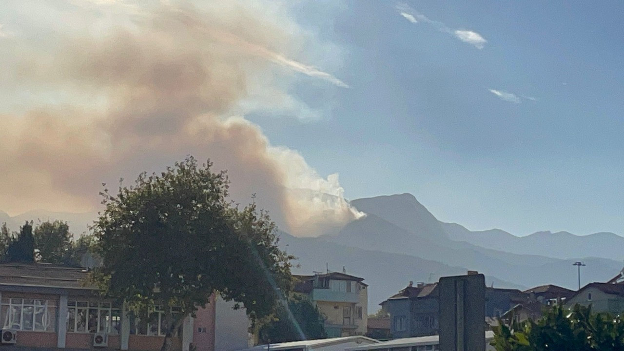 Sarp arazide devam eden orman yangınında alevlerle mücadele sürüyor