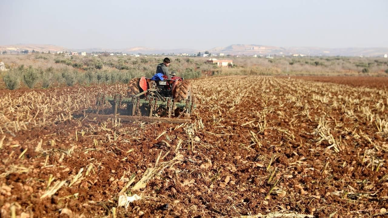 Çiftçiler müjde! 149 milyon 839 bin lira destek ödemesi bugün - Sayfa 2