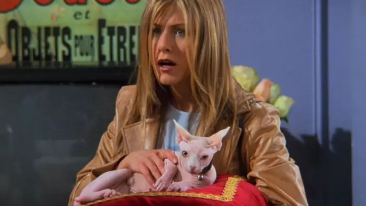 Rachel Green'in Bilinmeyen 15 Sırrı: 'Friends' Hayranlarının Unuttuğu Detaylar - Sayfa 6