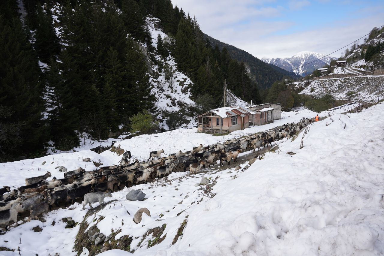 Rize’nin Karlı Yaylalarından Kartpostallık Görüntüler - Sayfa 2