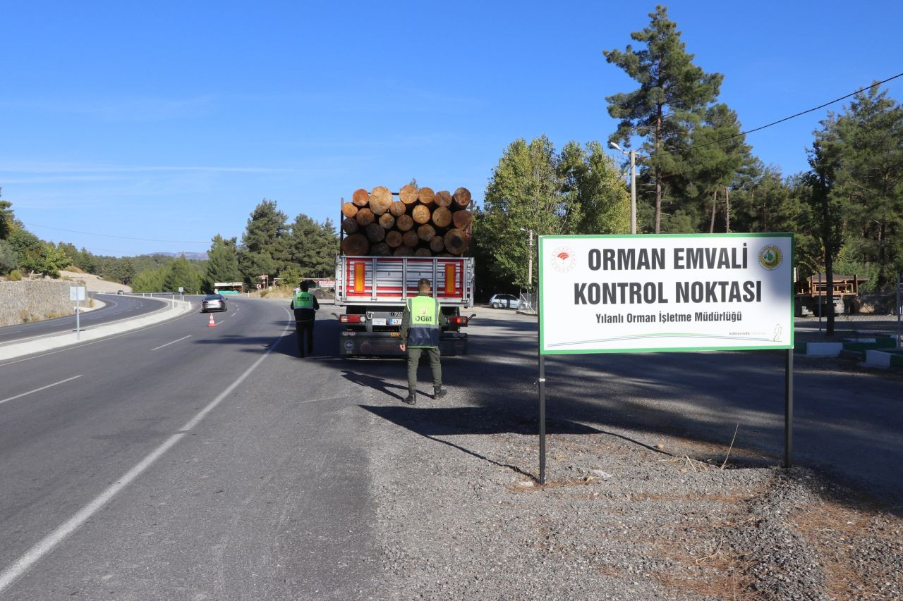 Muğla Orman Bölge Müdürlüğü'nde 75 noktada orman emvali denetimi gerçekleştirildi - Sayfa 6