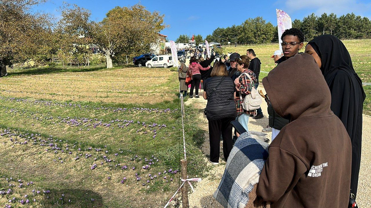 ‘Dünyanın en pahalı baharatı' safranı hasat etmek için soluğu tarlalarda aldılar - Sayfa 3