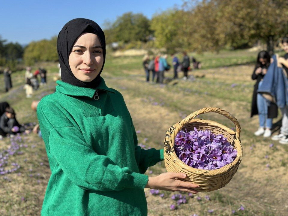 ‘Dünyanın en pahalı baharatı' safranı hasat etmek için soluğu tarlalarda aldılar - Sayfa 8