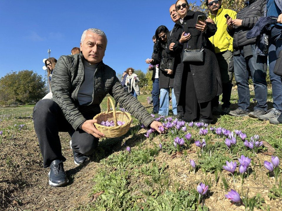 ‘Dünyanın en pahalı baharatı' safranı hasat etmek için soluğu tarlalarda aldılar - Sayfa 11