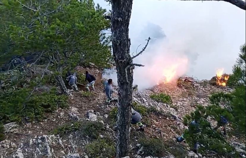 Denizli'de Orman Yangınıyla Mücadelede Gönüllüler Seferber Oldu - Sayfa 8