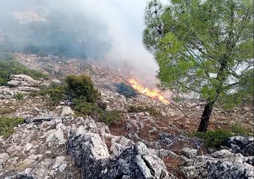 Denizli'de Orman Yangınıyla Mücadelede Gönüllüler Seferber Oldu - Sayfa 10