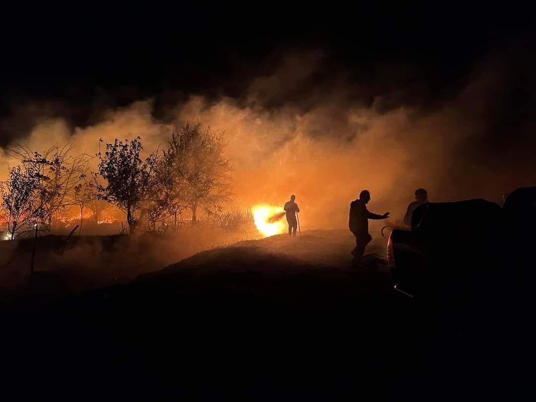 Akseki'de Tarım Arazisinde Yangın Korkuttu - Sayfa 2