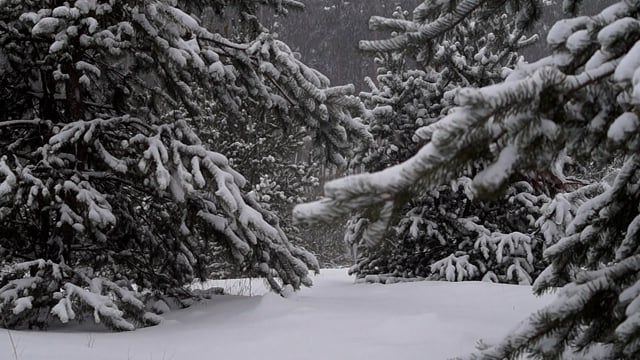 Meteoroloji tek tek uyardı! Kar, sis, fırtına alarmı - Sayfa 8