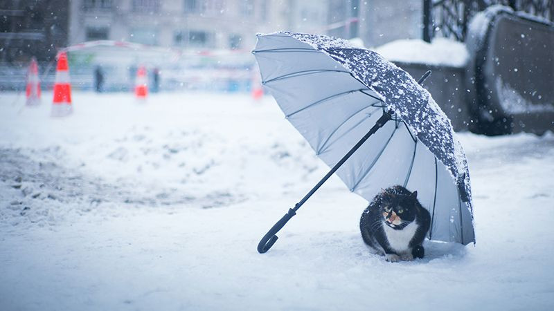 Meteoroloji tek tek uyardı! Kar, sis, fırtına alarmı - Sayfa 10