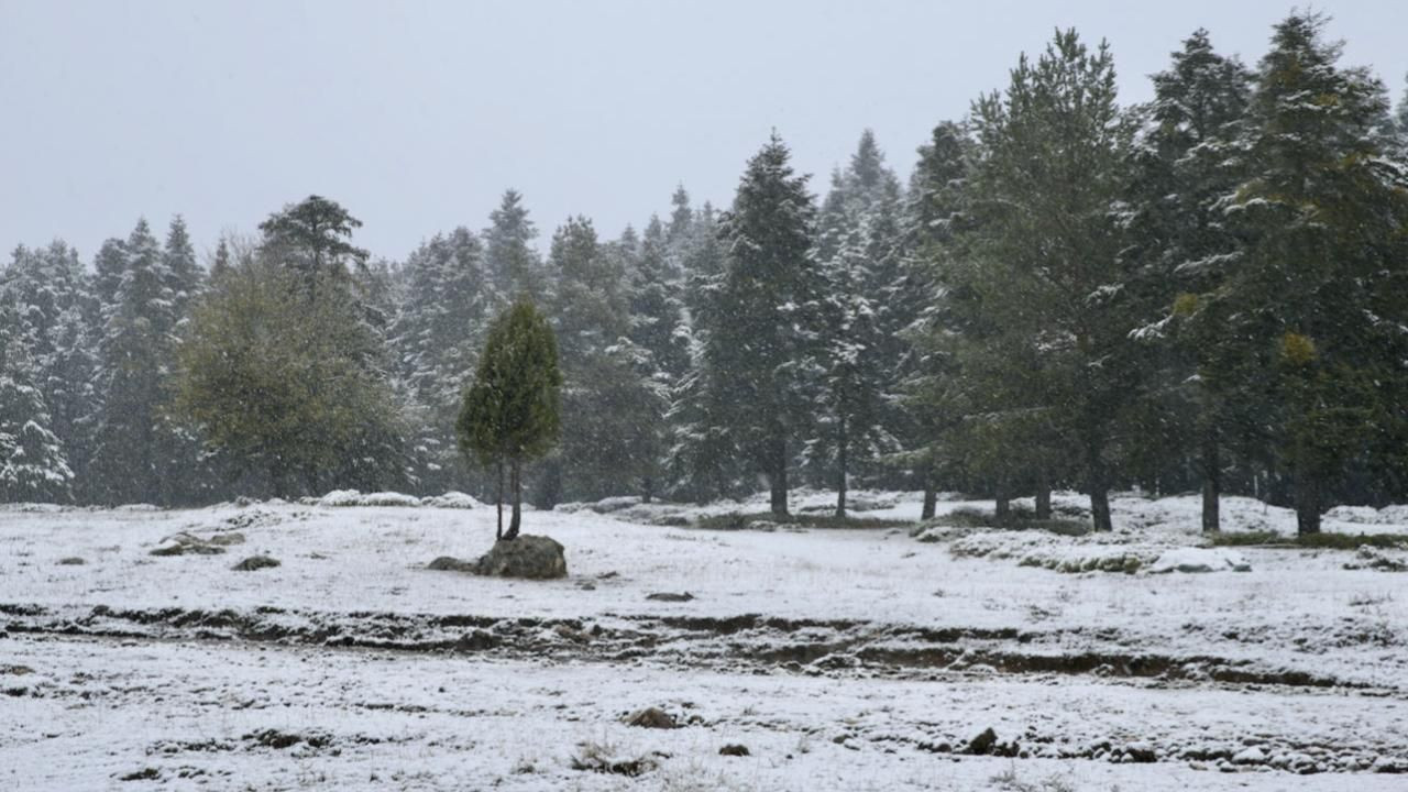 Meteoroloji tek tek uyardı! Kar, sis, fırtına alarmı - Sayfa 3