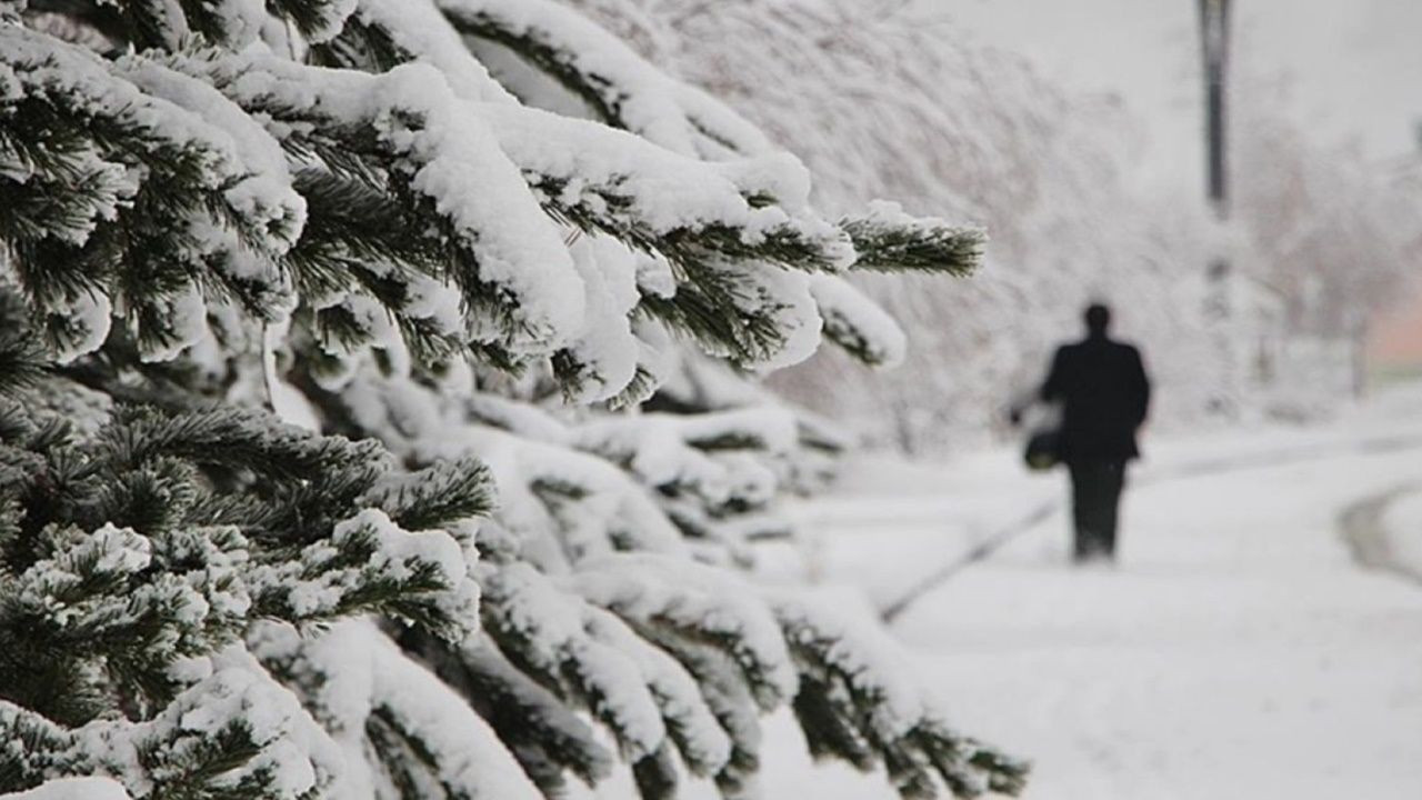 Meteoroloji tek tek uyardı! Kar, sis, fırtına alarmı - Sayfa 16