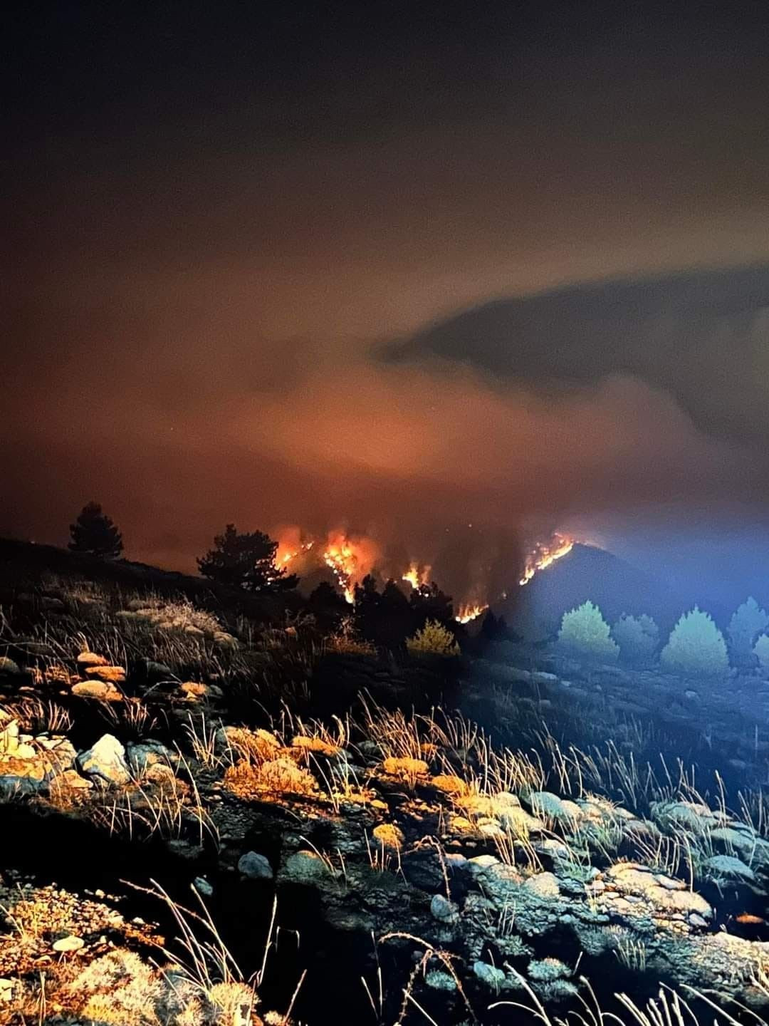 Denizli’deki yangına 5. günde müdahale devam ediyor - Sayfa 11