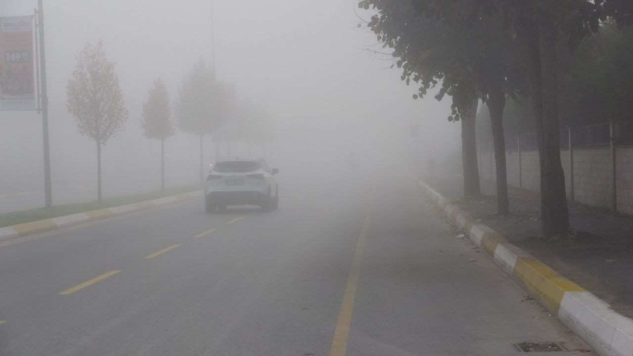 Sakarya güne sisle uyandı - Sayfa 5