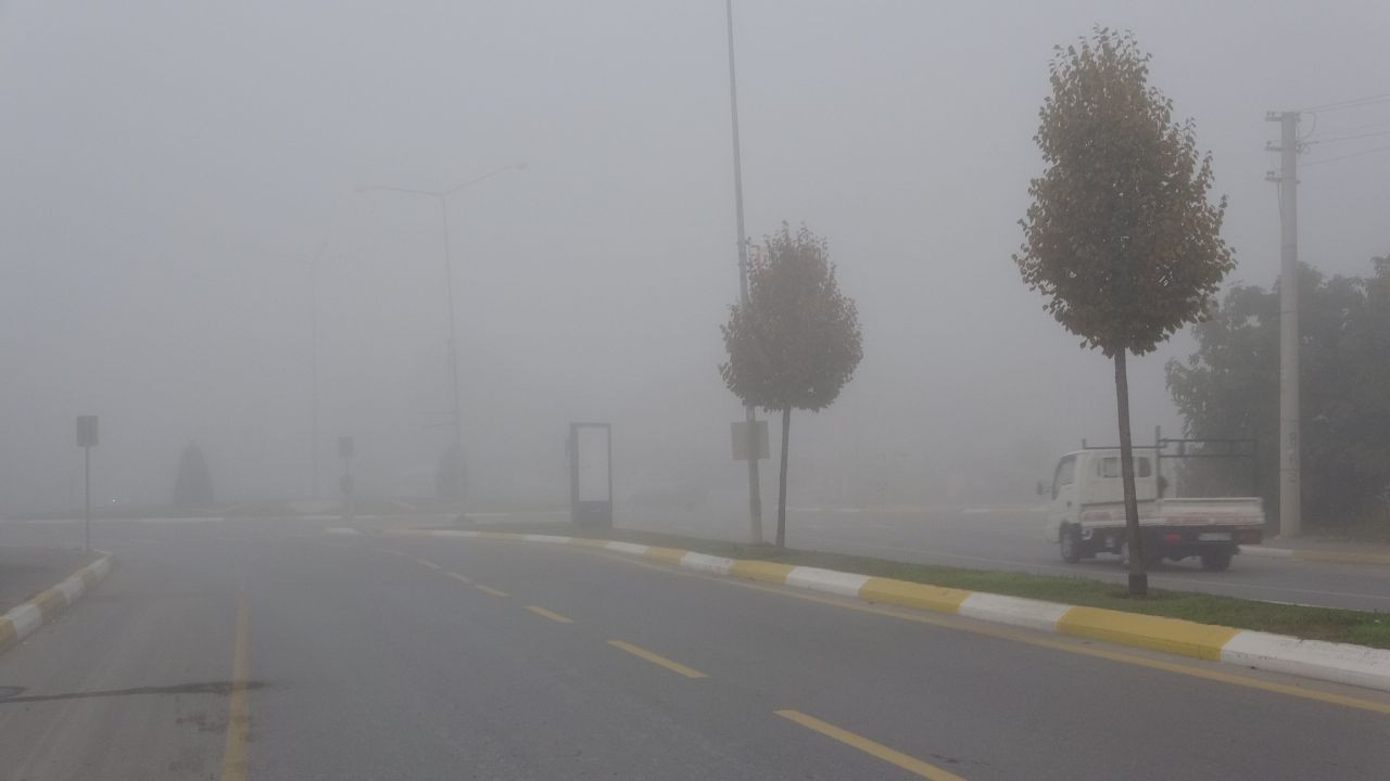 Sakarya güne sisle uyandı - Sayfa 2