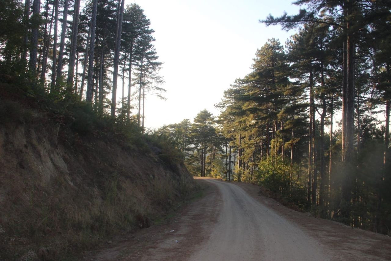 Kaz Dağları'nda kestane sezonu başladı - Sayfa 7