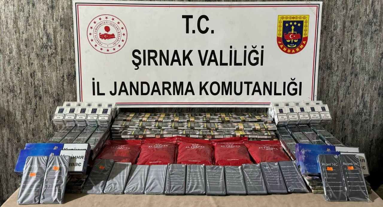 Şırnak'ta 2 milyon 900 bin lira değerinde kaçak ürün ele geçirildi - Sayfa 5
