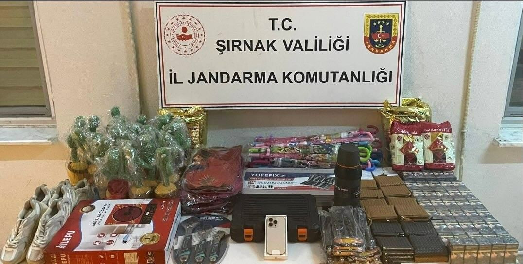 Şırnak'ta 2 milyon 900 bin lira değerinde kaçak ürün ele geçirildi - Sayfa 3