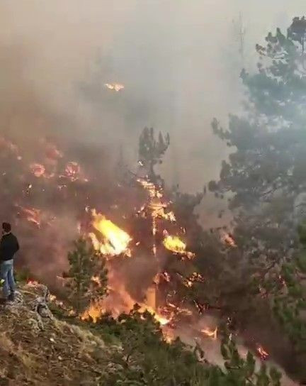 Karcı Dağında başlayan yangın Tavas sınırlarına dayandı - Sayfa 7