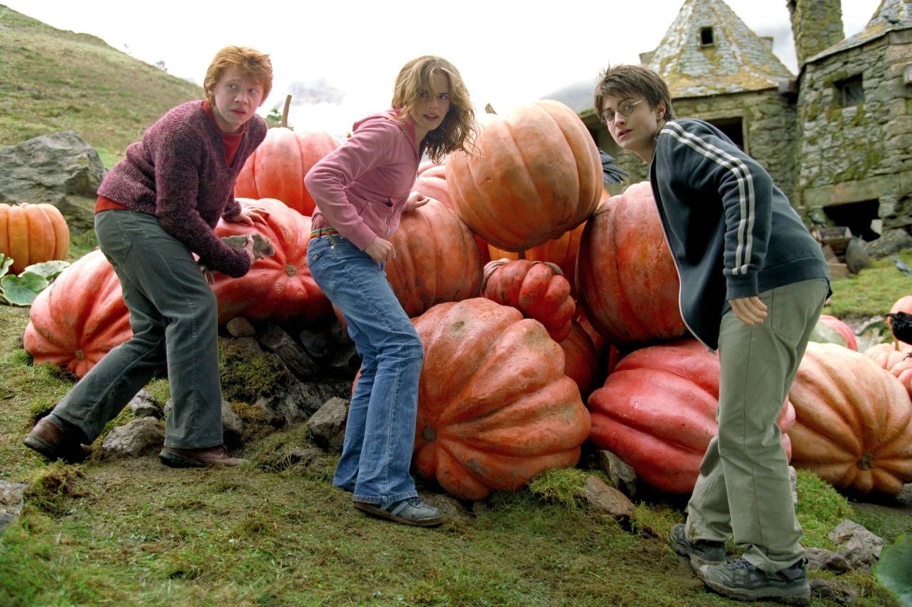 Harry Potter’ın Kaderi İlk Hogwarts Macerasında Belirlenmişti - Sayfa 11