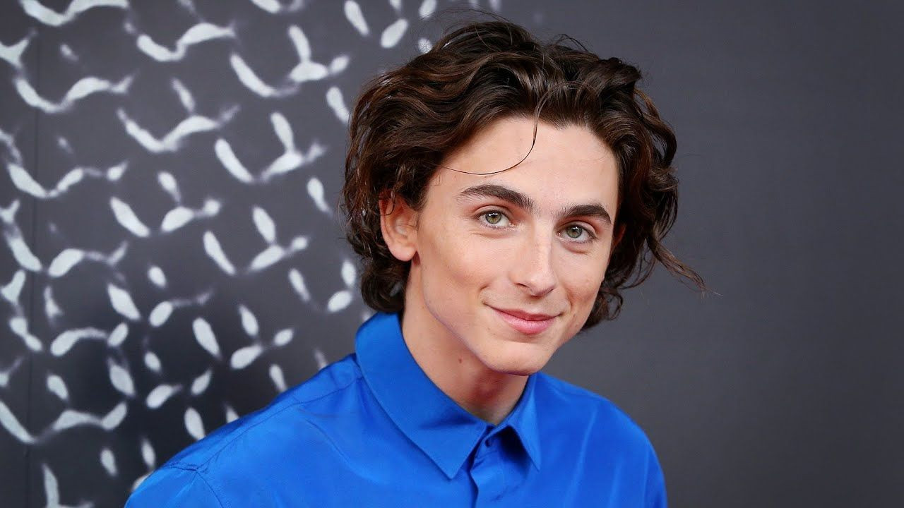 Timothée Chalamet, İkizini Arayan Yarışmaya Katıldı! - Sayfa 6