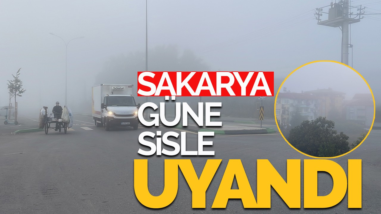 Sakarya güne sisle uyandı