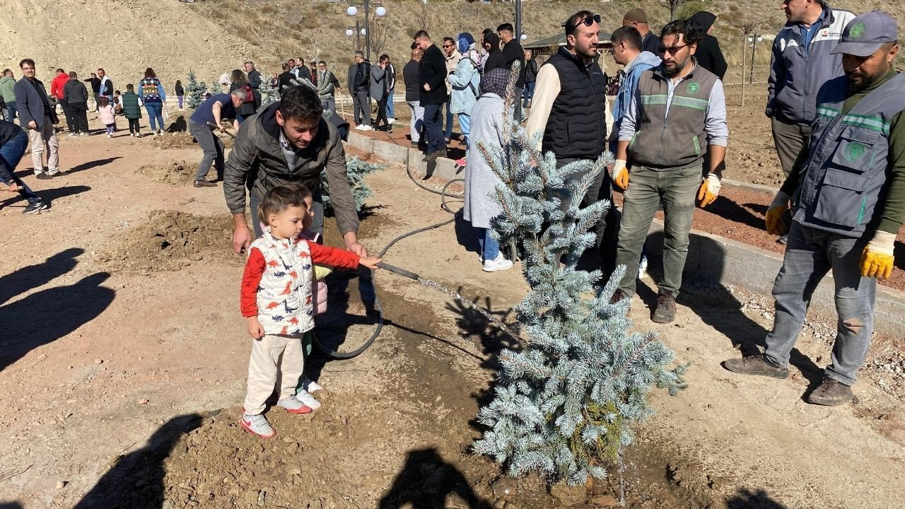 Yozgat’ta bozkır ağaçlandırıldı