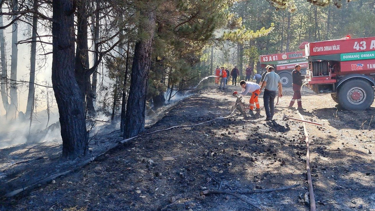 Kütahya'da anız yangını ormana sıçradı - Sayfa 1