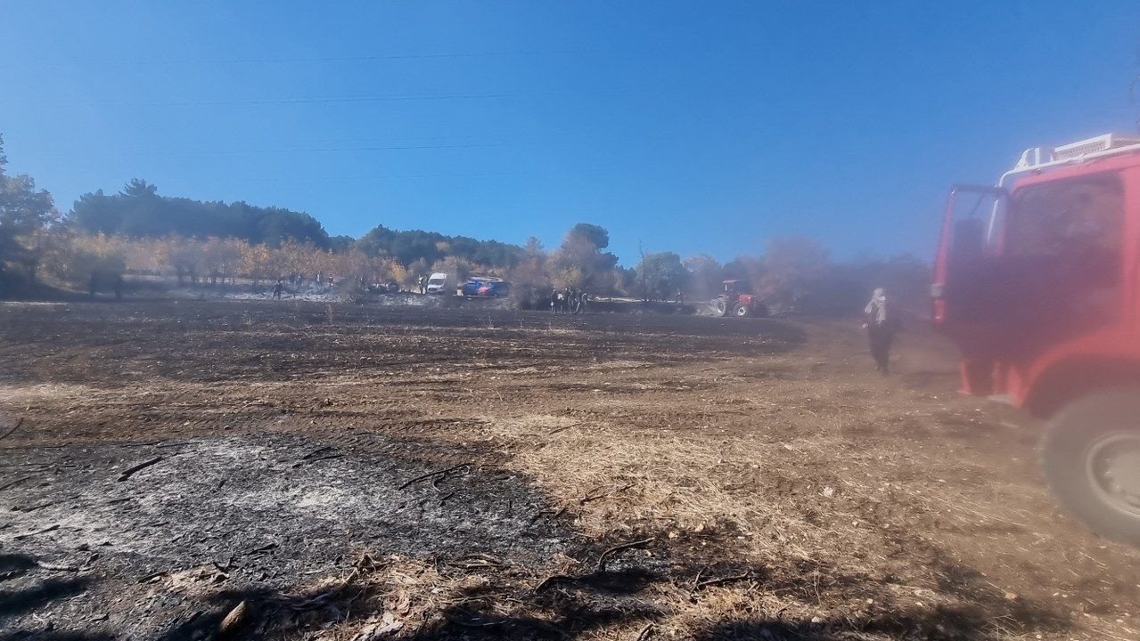 Kütahya'da anız yangını ormana sıçradı - Sayfa 5