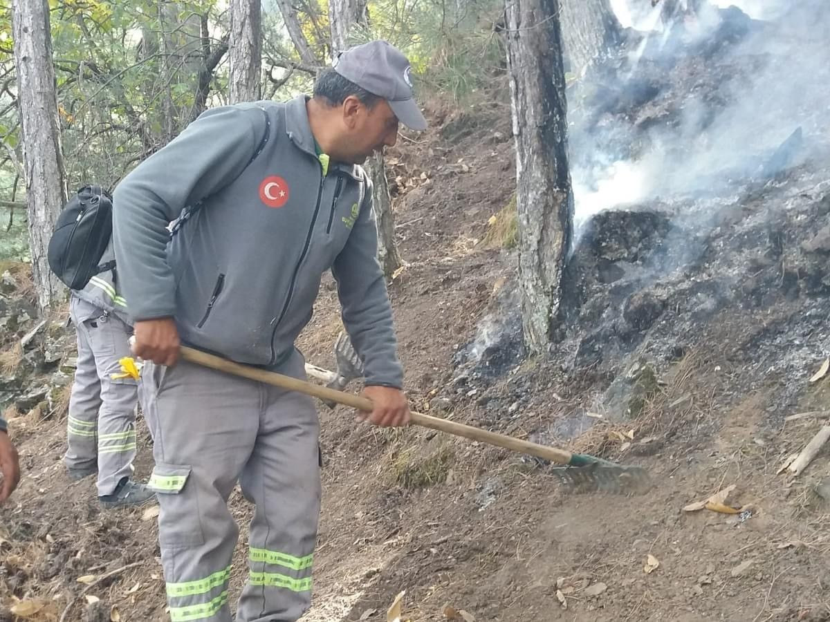 Denizli Büyükşehir Belediyesi, Orman Yangınıyla Mücadelede Öncü Rol Oynadı - Sayfa 8