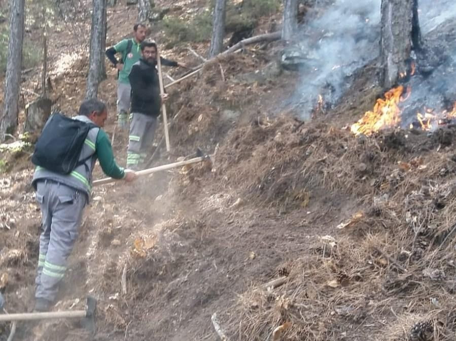 Denizli Büyükşehir Belediyesi, Orman Yangınıyla Mücadelede Öncü Rol Oynadı - Sayfa 2