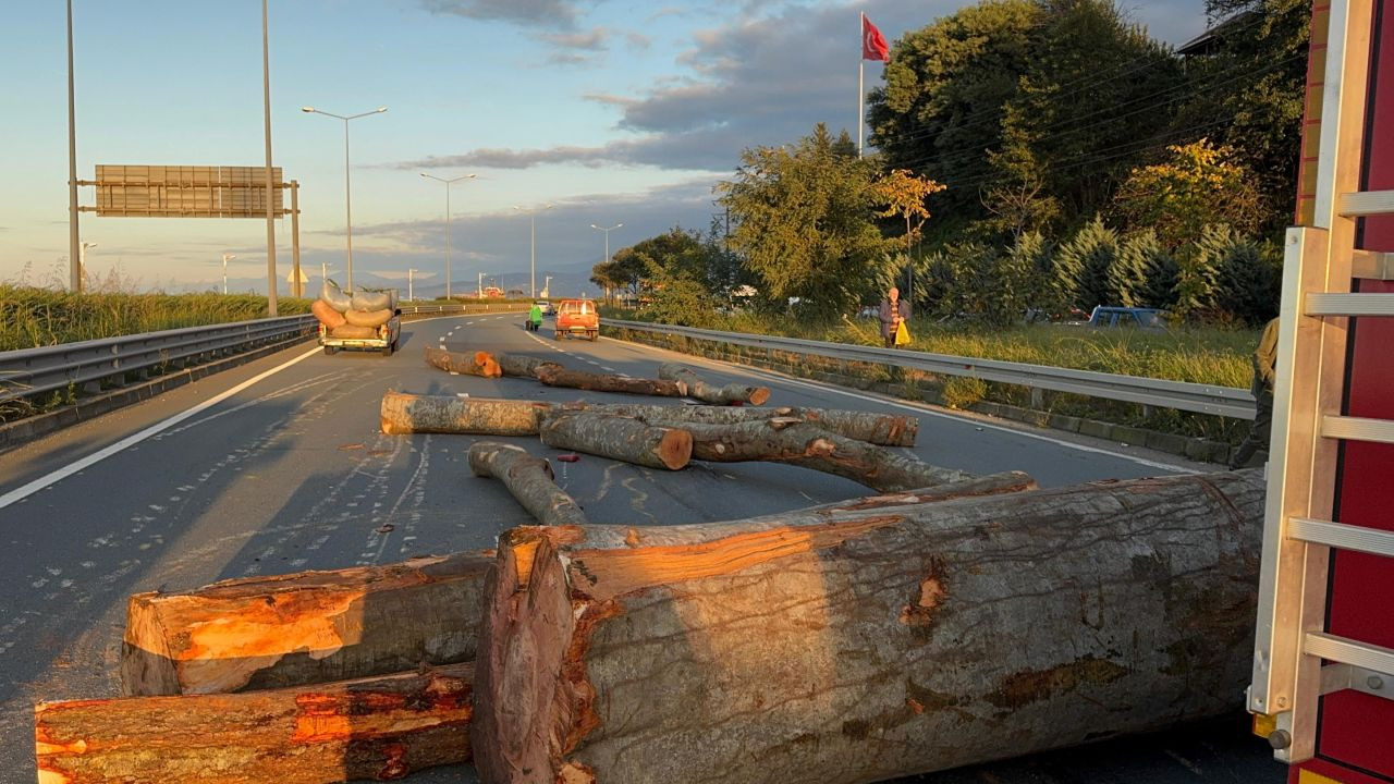 Rize'de Tomruk Yüklü Kamyon ile Kamyonet Çarpıştı: 3 Yaralı - Sayfa 2