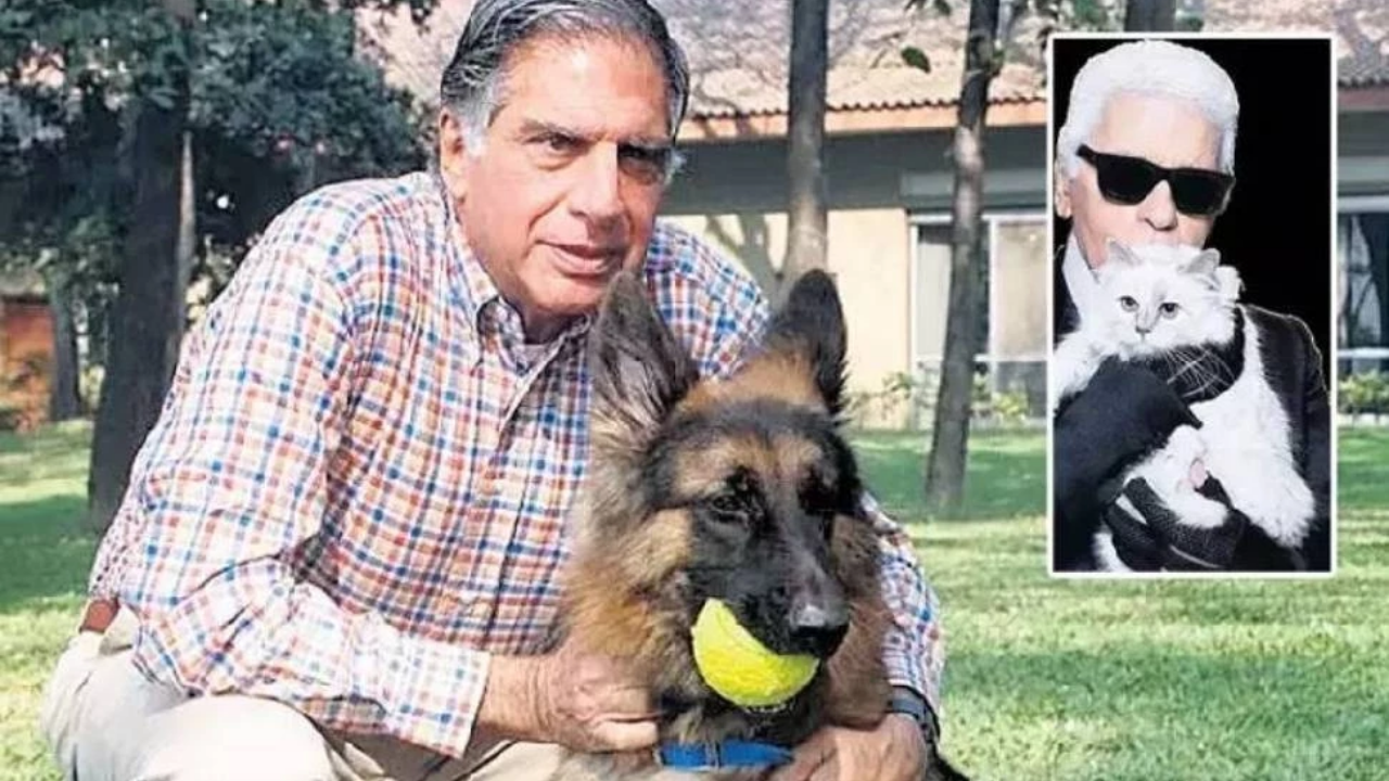 Milyarder Ratan Tata, Köpeği Tito'ya Servet Bıraktı