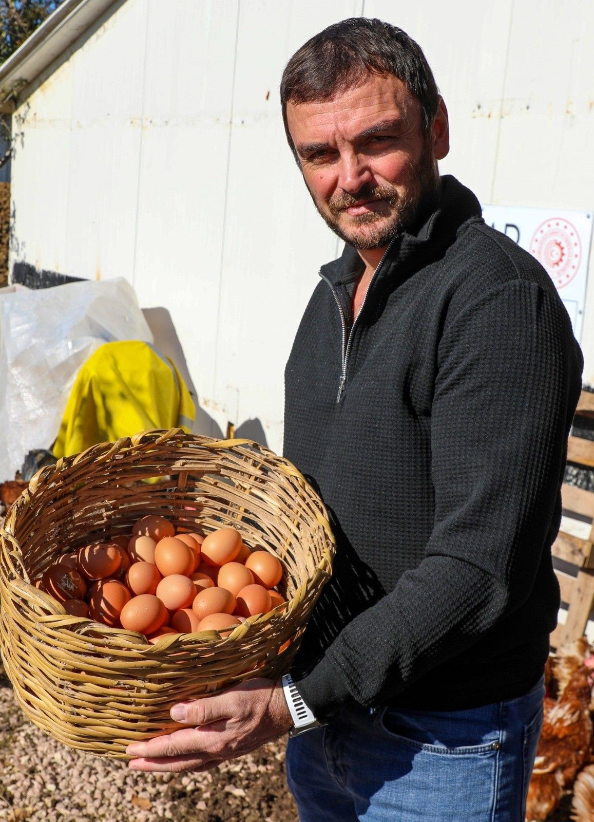 Ordu’da Yumurta Sektörü Fırladı: Yeni Fırsatlar Doğuyor - Sayfa 2