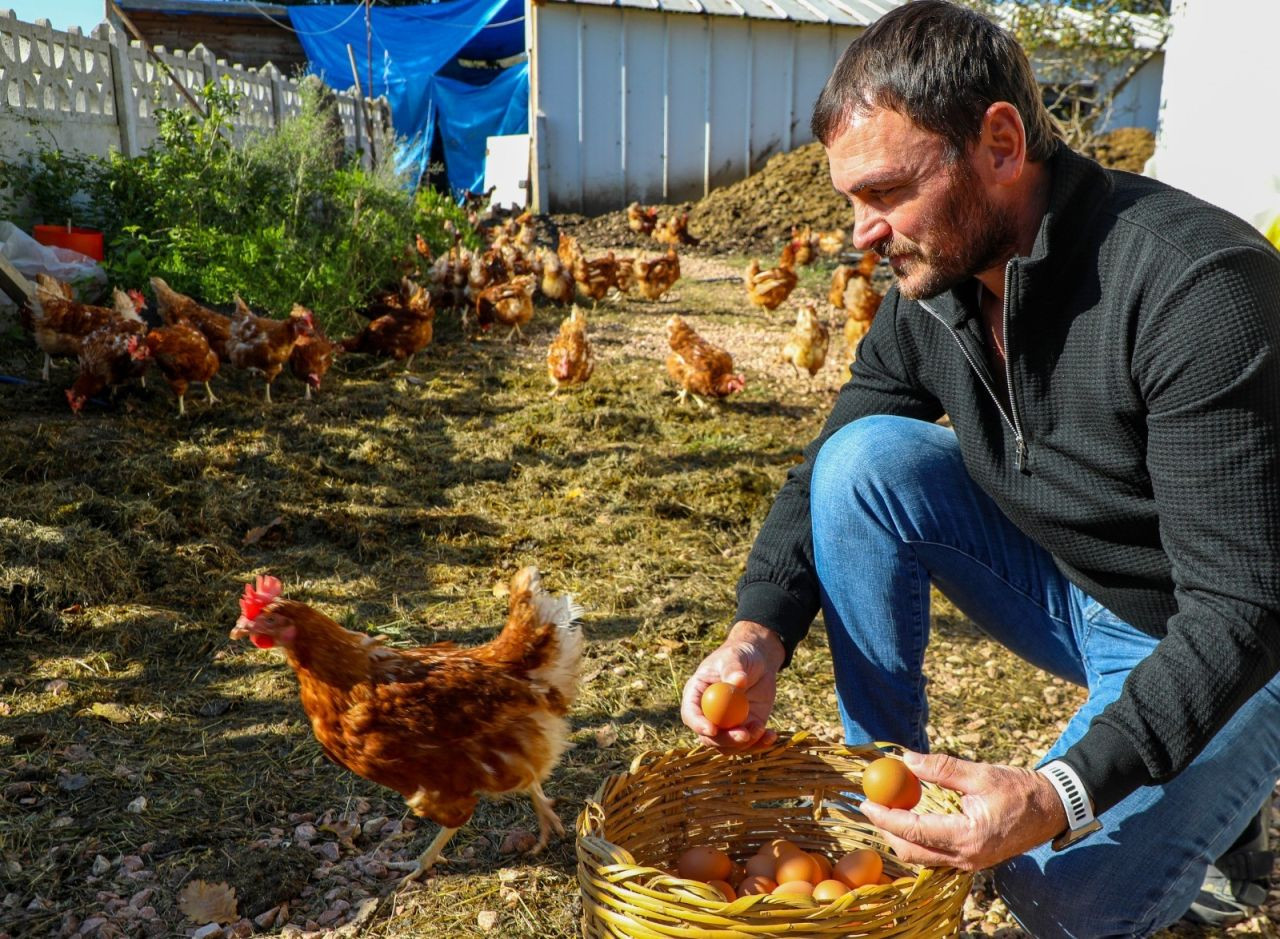 Ordu’da Yumurta Sektörü Fırladı: Yeni Fırsatlar Doğuyor - Sayfa 6