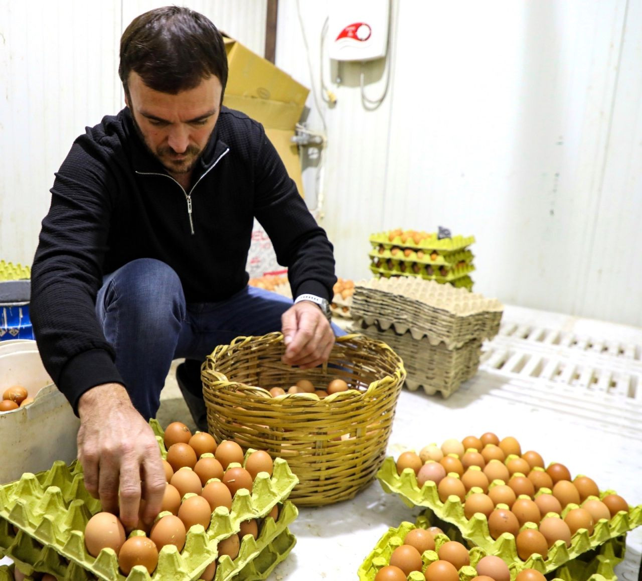 Ordu’da Yumurta Sektörü Fırladı: Yeni Fırsatlar Doğuyor - Sayfa 5