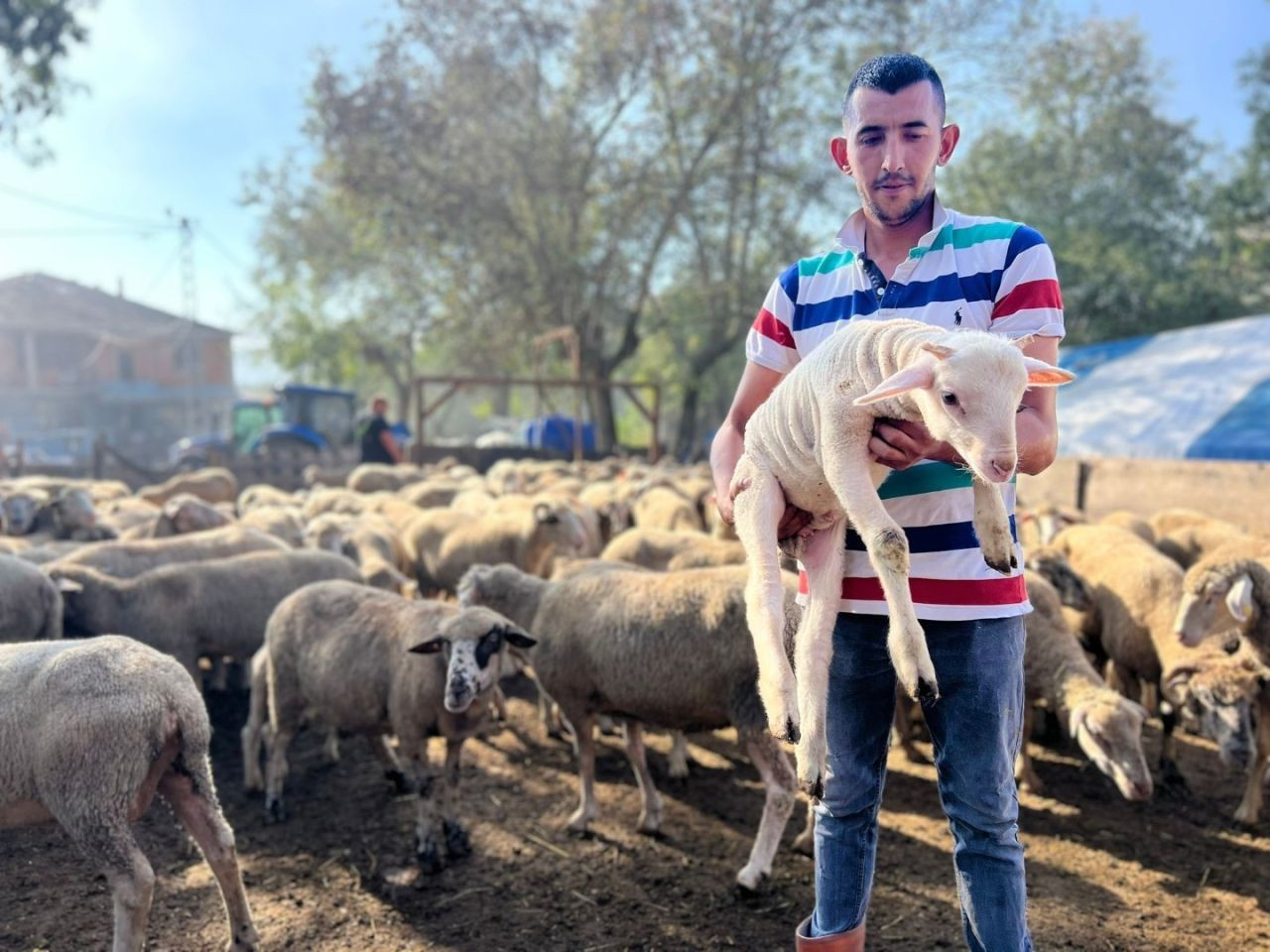 Bu Destekle Ağıllar Yeni Doğan Kuzularla Şenlendi - Sayfa 3